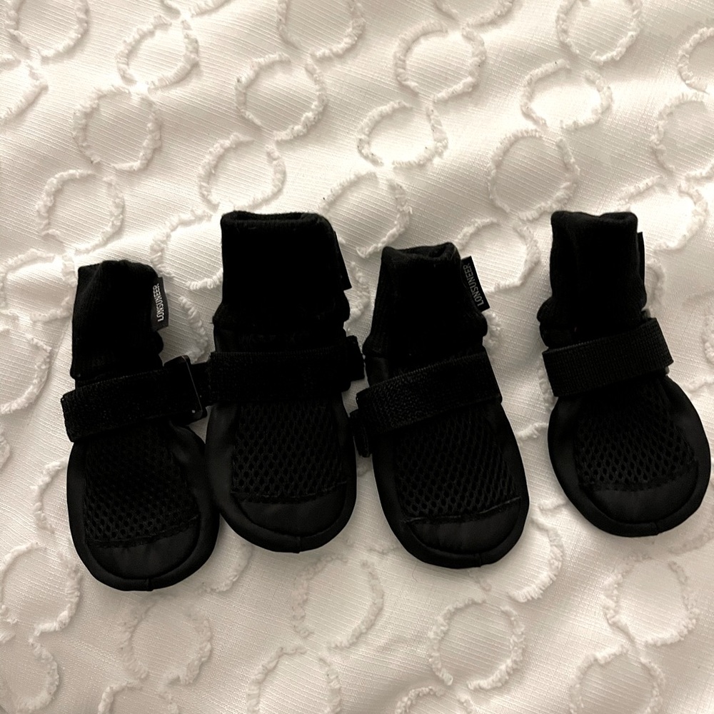 Puppy/dog sneakers size small brand New Never Worn